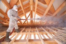 Best Spray Foam Insulation  in Pleak, TX