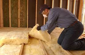 Best Insulation for New Construction  in Pleak, TX